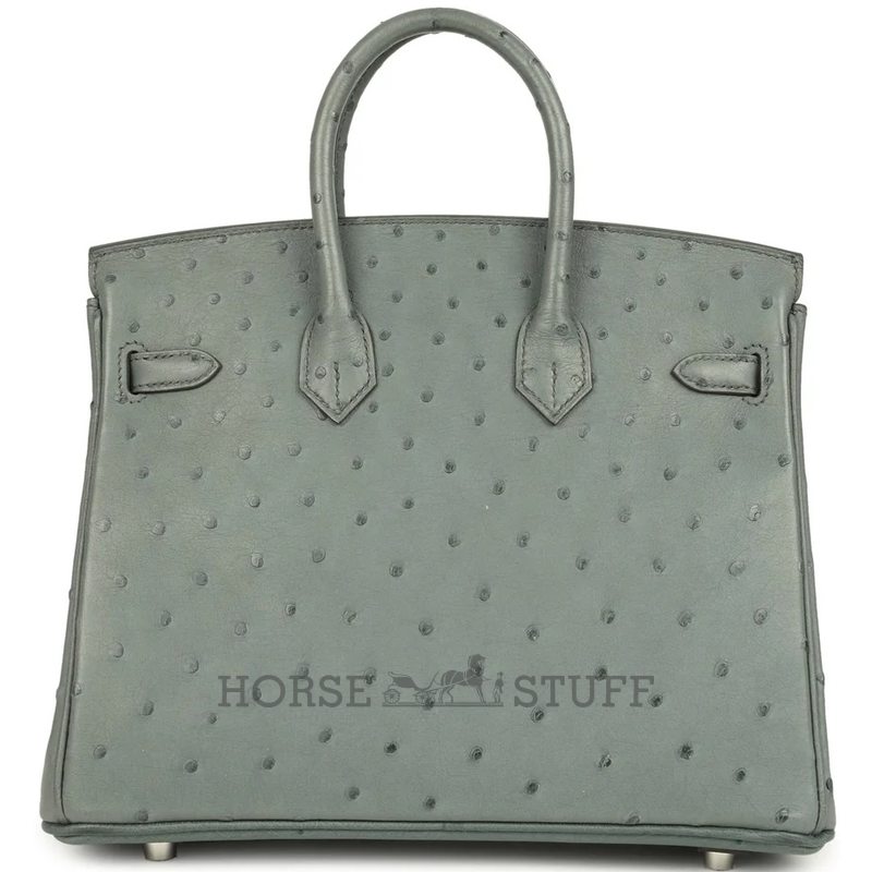 Hermès Birkin 25 Vert Amande Ostrich PHW