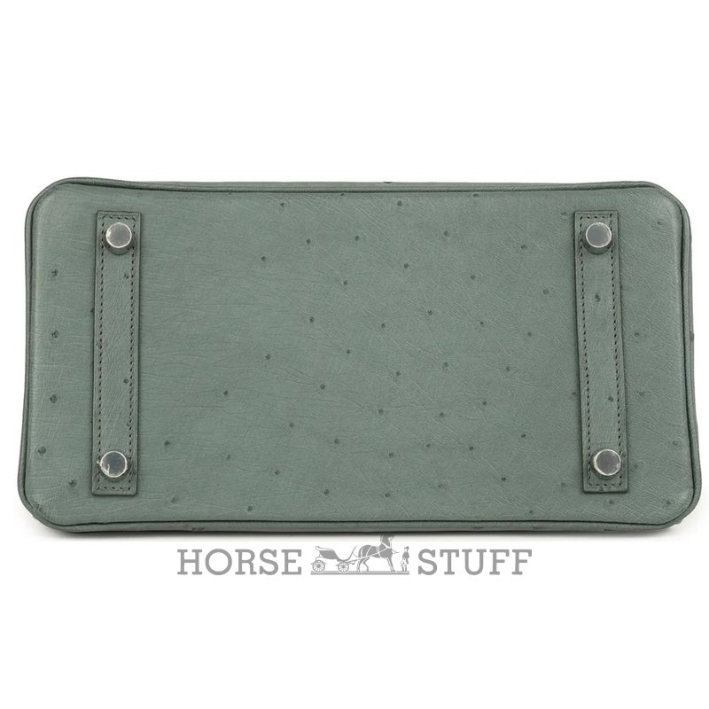 Hermès Birkin 25 Vert Amande Ostrich PHW