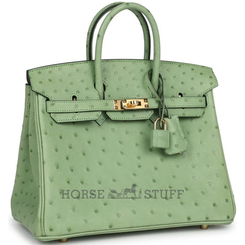 Hermès Birkin 25 Vert Criquet Ostrich GHW