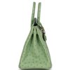 Hermès Birkin 25 Vert Criquet Ostrich GHW