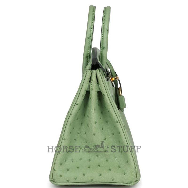 Hermès Birkin 25 Vert Criquet Ostrich GHW