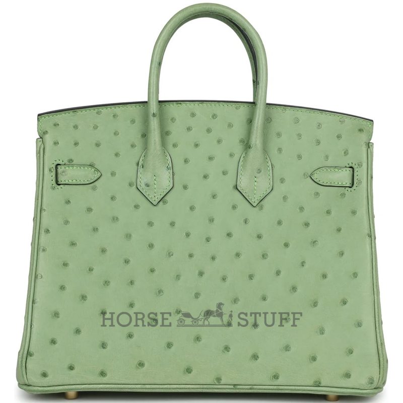 Hermès Birkin 25 Vert Criquet Ostrich GHW