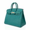 Hermès Birkin 25 Vert Verone Ostrich GHW