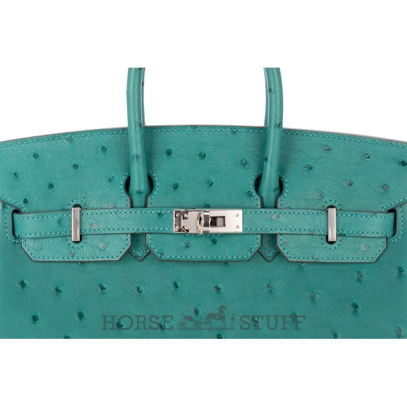 Hermès Birkin 25 Jaune Milton Ostrich PHW