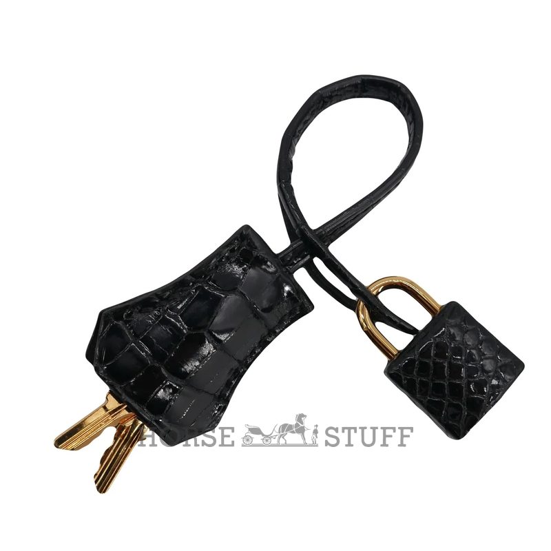 Hermès Birkin 25 Black Shiny Crocodile Porosus GHW