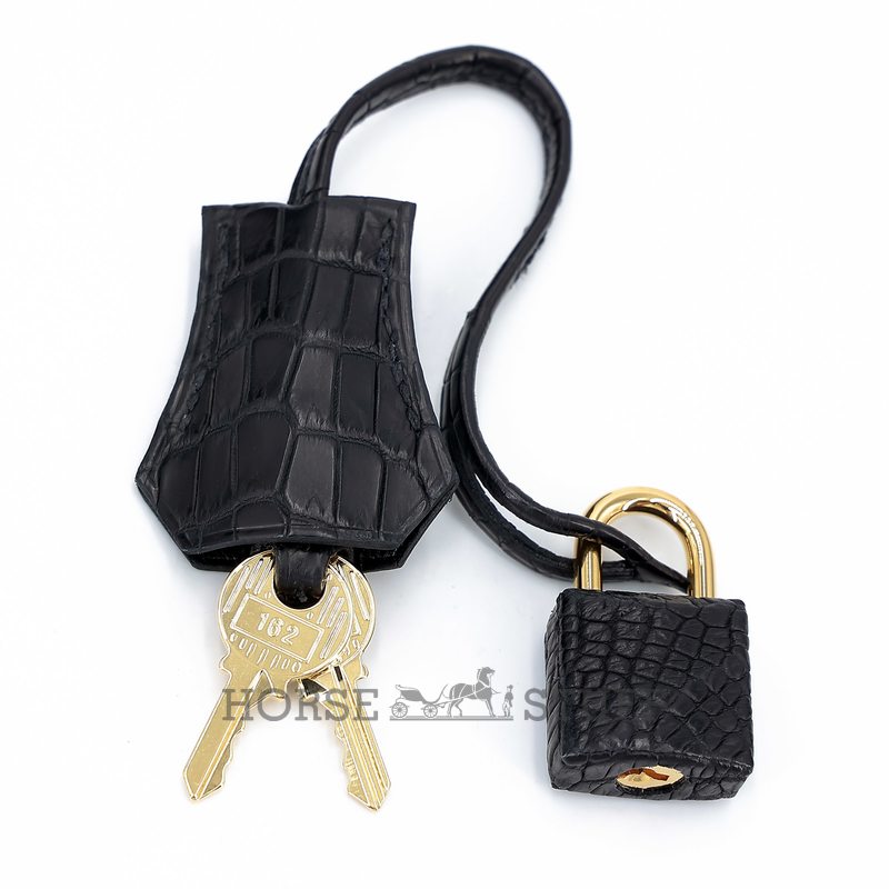 Hermès Birkin 25 Black Matte Crocodile Porosus GHW