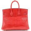 Hermès Birkin 25 Bougainvillier Lisse Crocodile Porosus PHW