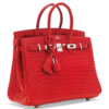 Hermès Birkin 25 Braise Lisse Crocodile Porosus PHW