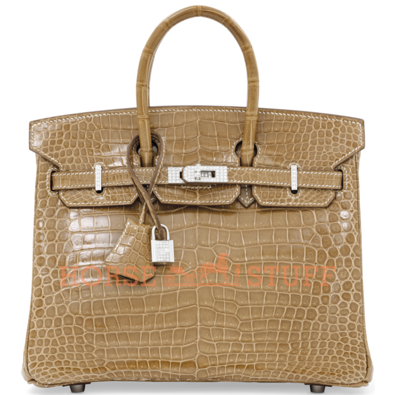 Hermès Birkin 25 Ficelle Lisse Crocodile Porosus White 18K Gold, Diamonds