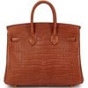 Hermès Birkin 25 Gold Matte Crocodile Porosus GHW