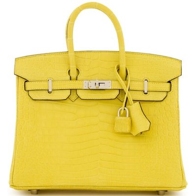 Hermès Birkin 25 Mimosa Matte Crocodile Porosus PHW