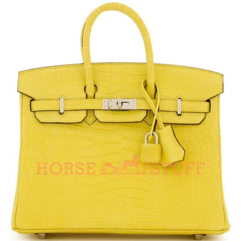 Hermès Birkin 25 Mimosa Matte Crocodile Porosus PHW