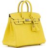 Hermès Birkin 25 Mimosa Matte Crocodile Porosus PHW