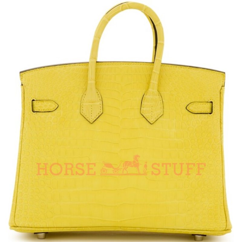 Hermès Birkin 25 Mimosa Matte Crocodile Porosus GHW