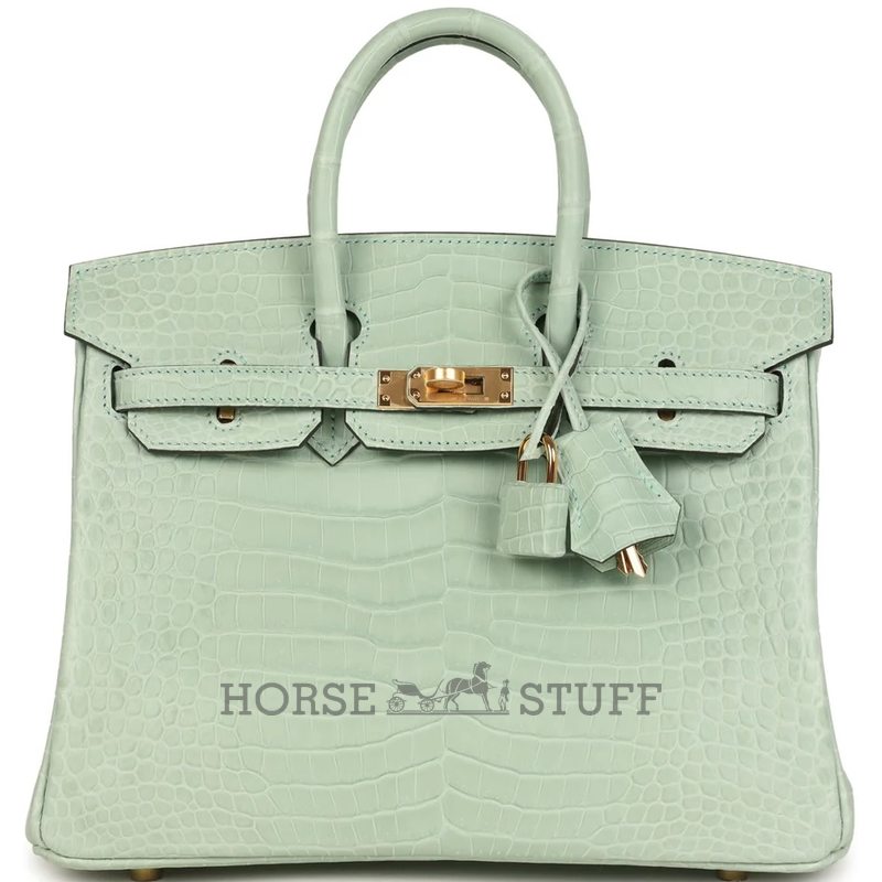 Hermès Birkin 25 Vert d'Eau Matte Crocodile Porosus GHW