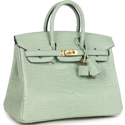 Hermès Birkin 25 Vert d'Eau Matte Crocodile Porosus GHW