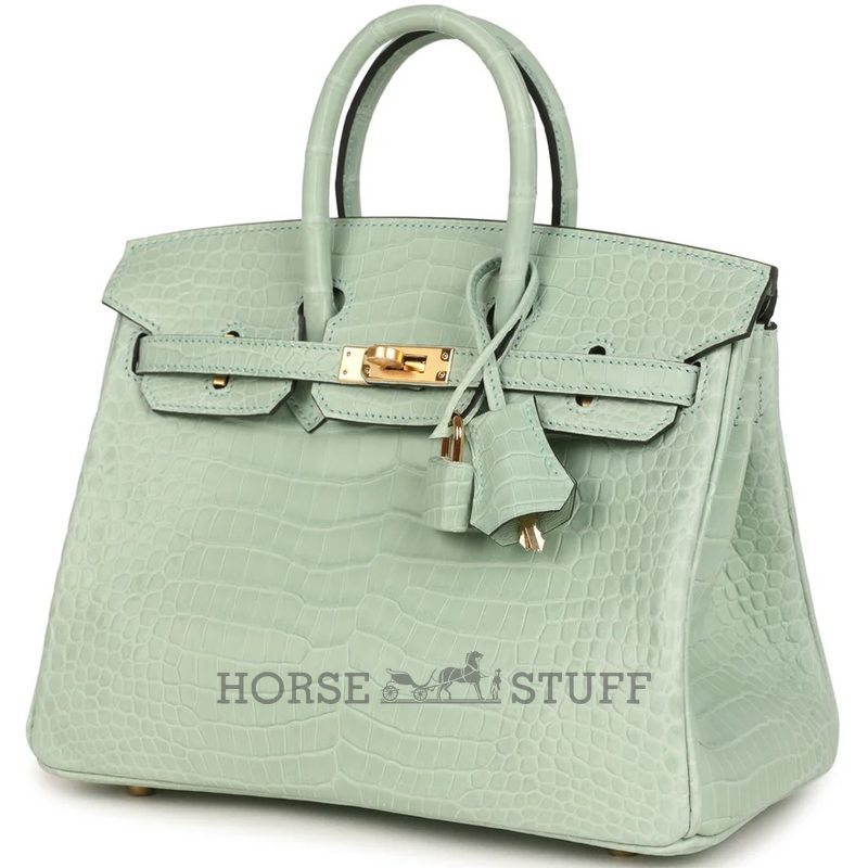 Hermès Birkin 25 Vert d'Eau Matte Crocodile Porosus GHW