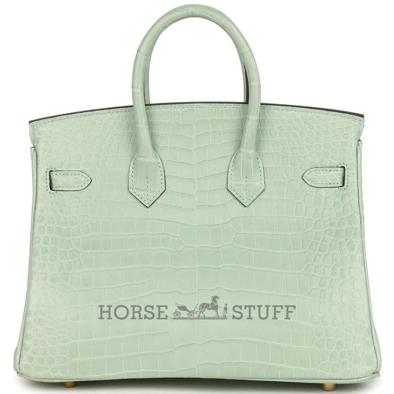 Hermès Birkin 25 Vert d'Eau Matte Crocodile Porosus GHW