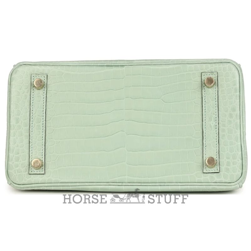 Hermès Birkin 25 Vert d'Eau Matte Crocodile Porosus GHW