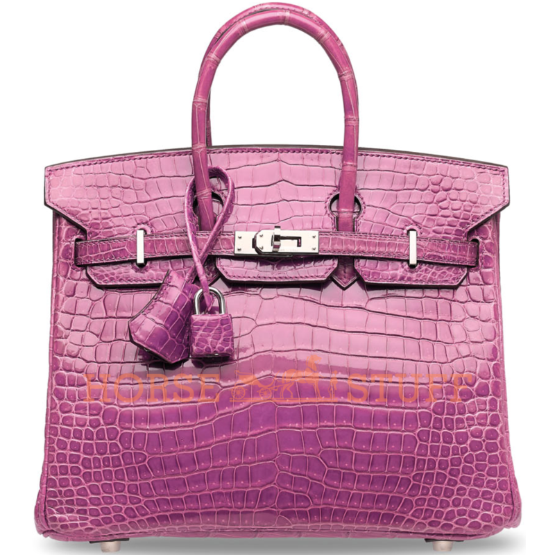 Hermès Birkin 25 Violet Lisse Crocodile Porosus PHW