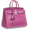 Hermès Birkin 25 Violet Lisse Crocodile Porosus PHW