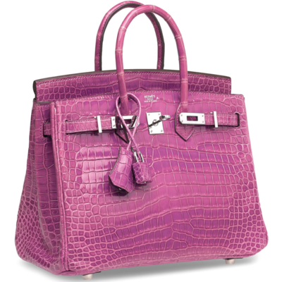 Hermès Birkin 25 Violet Lisse Crocodile Porosus PHW