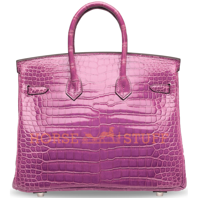 Hermès Birkin 25 Violet Lisse Crocodile Porosus PHW