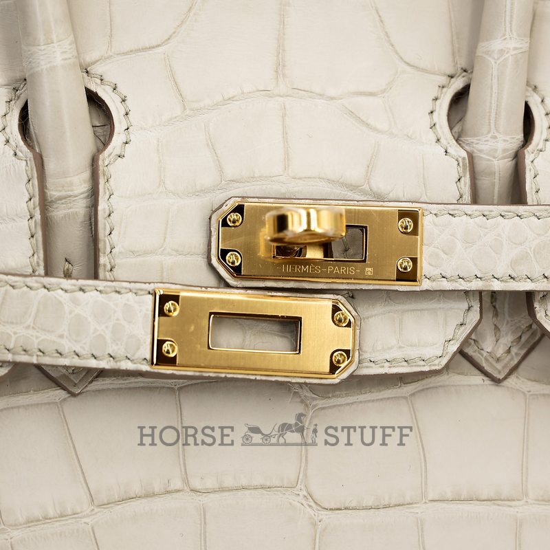 Hermès Birkin Sellier 25 Beton Matte Crocodile Alligator GHW