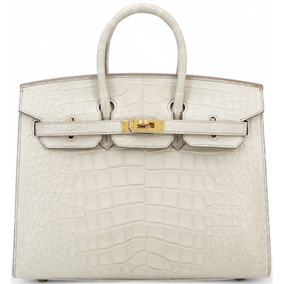 Hermès Birkin Sellier 25 Beton Matte Crocodile Alligator GHW