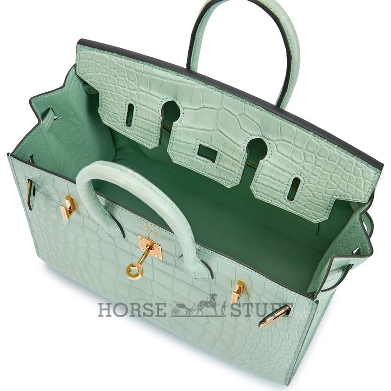 Hermès Birkin Sellier 25 Vert d'Eau Matte Crocodile Alligator GHW