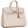 Hermès Birkin Sellier 25 Nata Epsom GHW