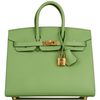 Hermès Birkin Sellier 25 Vert Criquet Epsom GHW