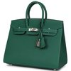 Hermès Birkin Sellier 25 Vert Moyen Epsom Electrum HW