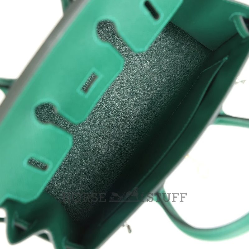 Hermès Birkin Sellier 25 Vert Moyen Epsom Electrum HW