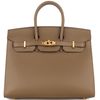 Hermès Birkin Sellier 25 Mauve Sylvestre Veau Madame PHW
