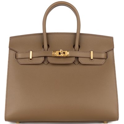 Hermès Birkin Sellier 25 Toundra Veau Madame GHW