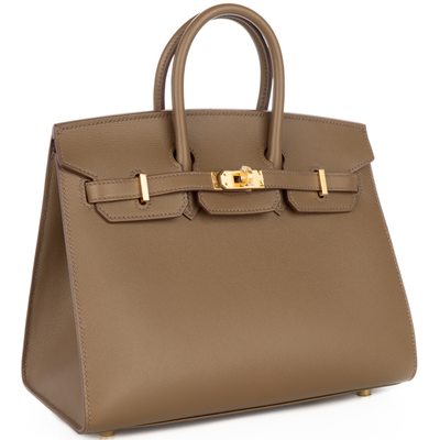 Hermès Birkin Sellier 25 Toundra Veau Madame GHW