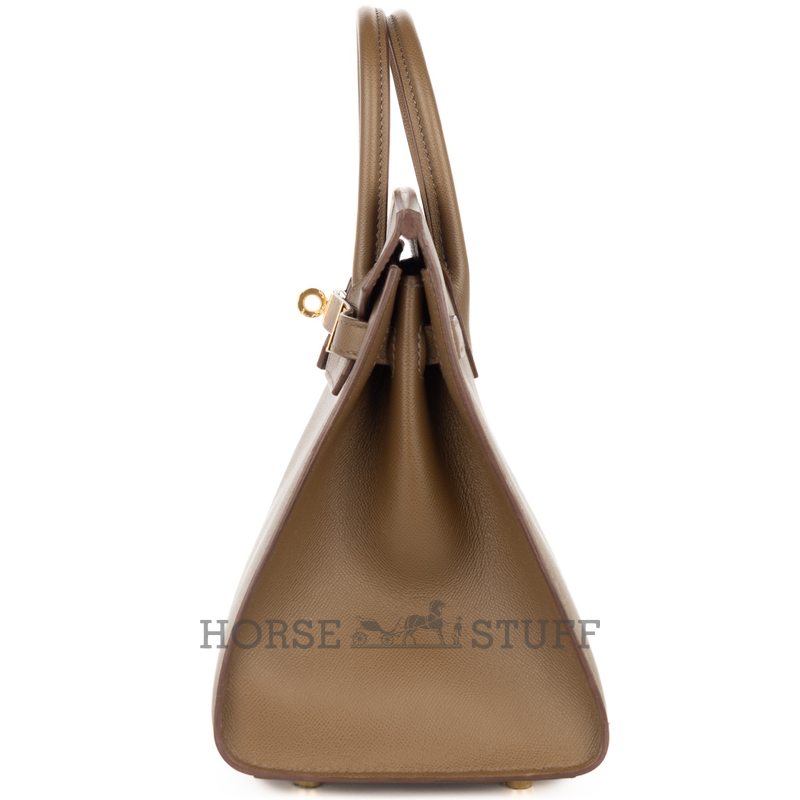 Hermès Birkin Sellier 25 Mauve Sylvestre Veau Madame PHW