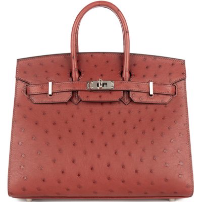 Hermès Birkin Sellier 25 Rouge H Ostrich PHW