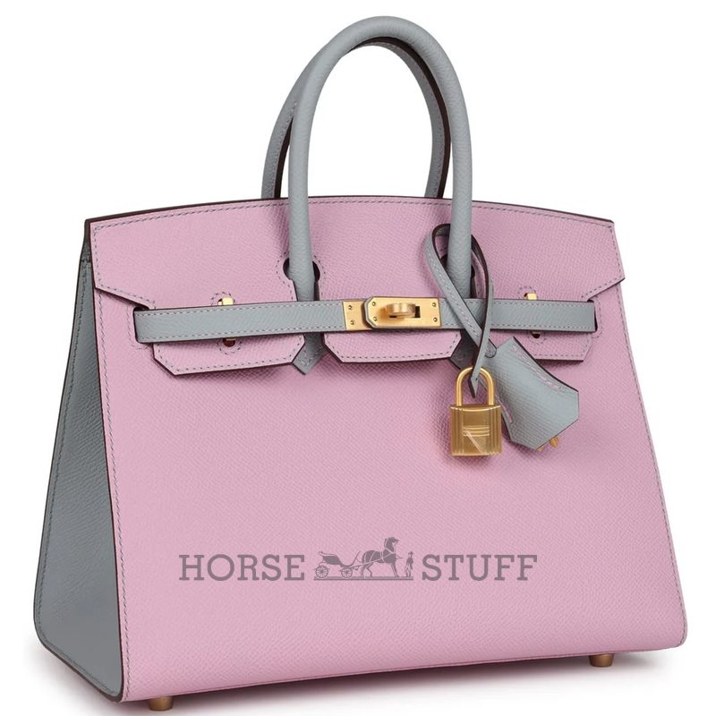 Hermès Birkin Sellier 25 Special Order Mauve Sylvestre / Blue Glacier Epsom BGHW