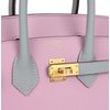 Hermès Birkin Sellier 25 Special Order Mauve Sylvestre / Blue Glacier Epsom BGHW