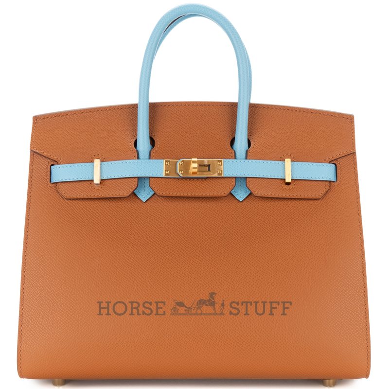 Hermès Birkin Sellier 25 Special Order Mauve Pale / Craie Epsom BGHW