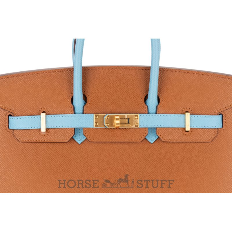 Hermès Birkin Sellier 25 Special Order Mauve Pale / Craie Epsom BGHW