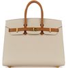 Hermès Birkin Sellier 25 Special Order Mauve Pale / Craie Epsom BGHW