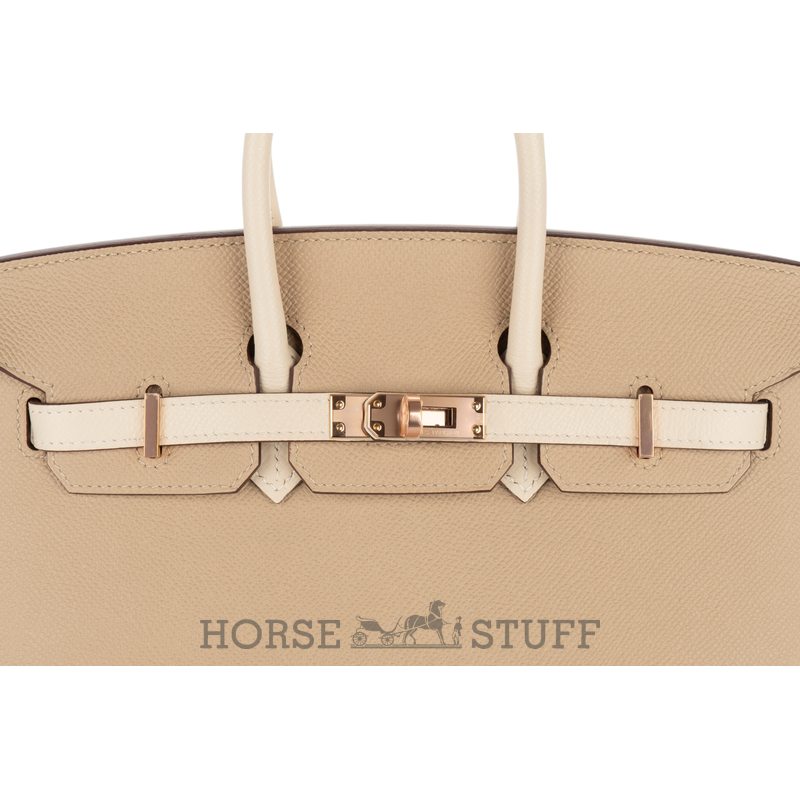 Hermès Birkin Sellier 25 Special Order Mauve Pale / Craie Epsom BGHW