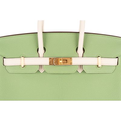 Hermès Birkin 25 Special Order HSS Vert Criquet / Nata Chevre BGHW