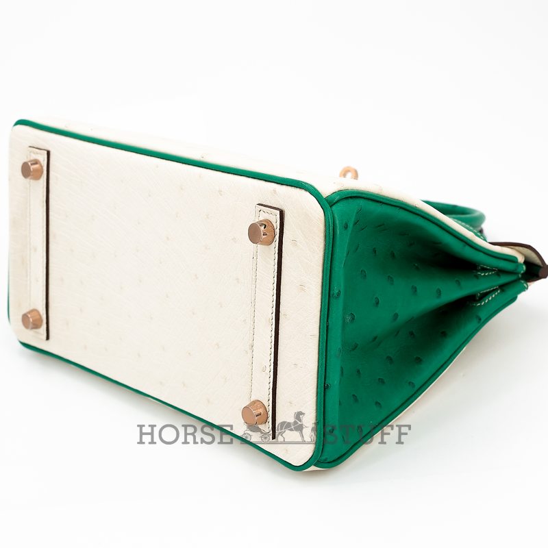 Hermès Birkin 25 Special Order HSS Craie / Bambou Ostrich RGHW