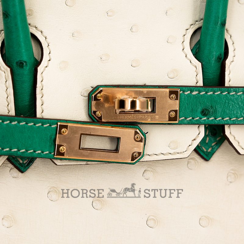 Hermès Birkin 25 Special Order HSS Craie / Bambou Ostrich RGHW