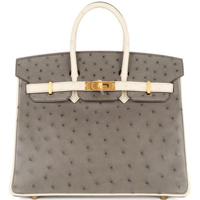 Hermès Birkin 25 Special Order HSS Graphite / Beton Ostrich BGHW