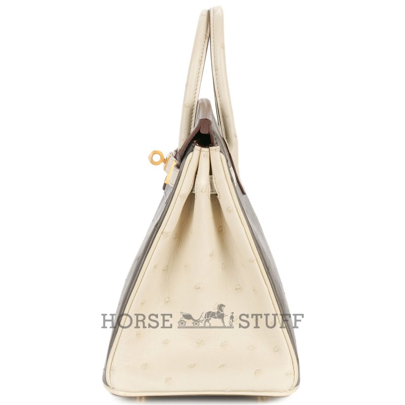 Hermès Birkin 25 Special Order HSS Beton / Gris Asphalt Ostrich BGHW